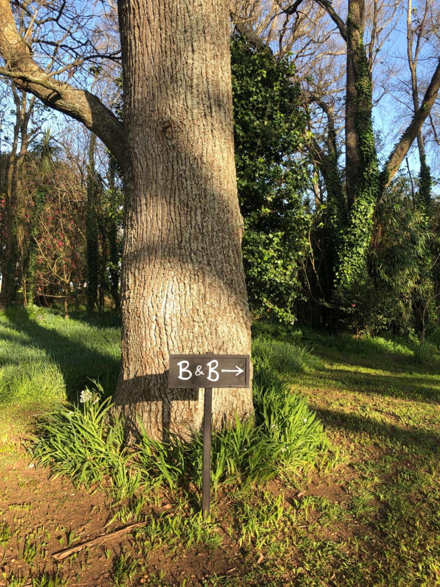 The Wash-House Historic Cottage Close To Hobbiton & Fieldays ماتاماتا المظهر الخارجي الصورة